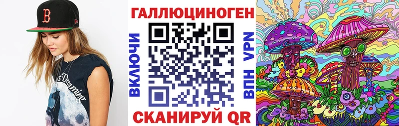 МЕГА как зайти  Мегион  Псилоцибиновые грибы мицелий 